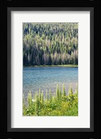 Hidden Lake Fine Art Print