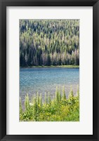 Hidden Lake Fine Art Print