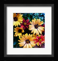 Colorful Bunch Fine Art Print
