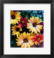 Colorful Bunch Fine Art Print