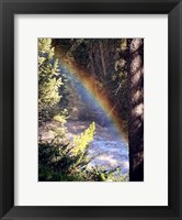 Stream and Rainbow Collide Fine Art Print
