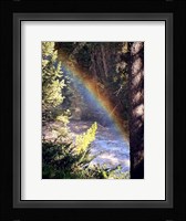 Stream and Rainbow Collide Fine Art Print