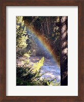 Stream and Rainbow Collide Fine Art Print