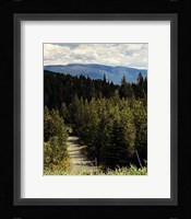 Mountain Stream Fine Art Print