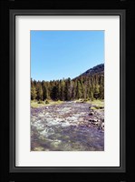 Lovely Stream Fine Art Print