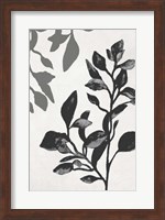 Botanical In Noir I Fine Art Print