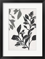 Botanical In Noir I Fine Art Print