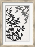 Botanical In Noir II Fine Art Print