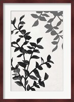 Botanical In Noir II Fine Art Print