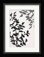 Botanical In Noir II Framed Print