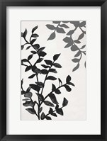 Botanical In Noir II Framed Print