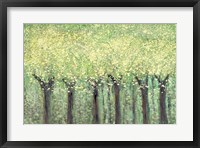 Live Green Trees Fine Art Print