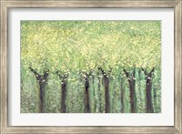 Live Green Trees Fine Art Print