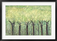 Live Green Trees Fine Art Print