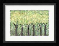 Live Green Trees Fine Art Print