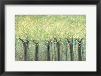 Live Green Trees Fine Art Print