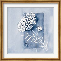 Blue And White Floral Framed Fine Art Print