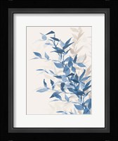 Blue Branch II Fine Art Print