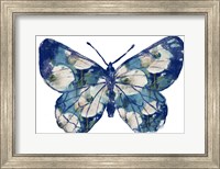 Floral Indigo Butterfly Fine Art Print