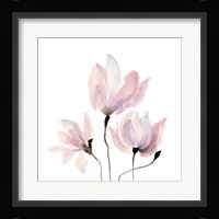Floral Sway IV Fine Art Print