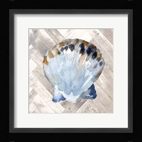 Modern Coastal II Framed Print