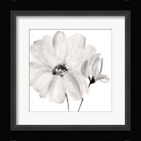 Rise With The Sun Square I Framed Print