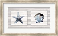 Starfish & Shell Duo Fine Art Print