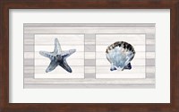 Starfish & Shell Duo Fine Art Print