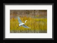 Golden Hour Fine Art Print