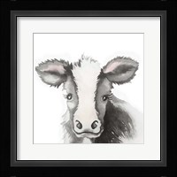 Calf Love Framed Print