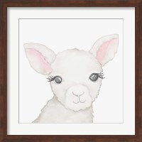 Baby Lamb Fine Art Print