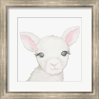 Baby Lamb Fine Art Print