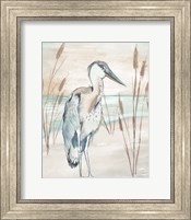 Heron By Beach Grass I Fine Art Print