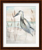 Heron by Beach Grass II Fine Art Print