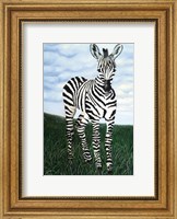 At Attention Zebra Fine Art Print