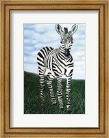 At Attention Zebra Fine Art Print