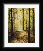 Autumn Forest Fine Art Print