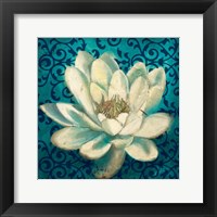 Water Lilly on Teal Fine Art Print