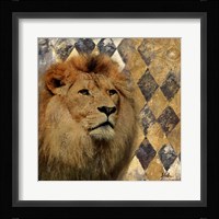 Golden Safari IV (Lion) Framed Print