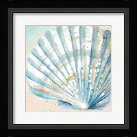 Awashed Shell Square Fine Art Print