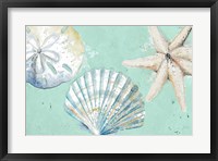 Beach Shells on Turquoise Rectangle Fine Art Print
