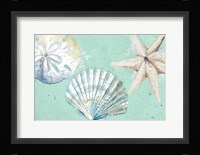 Beach Shells on Turquoise Rectangle Fine Art Print