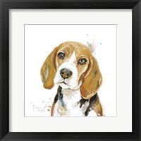 Watercolor Beagle Fine Art Print