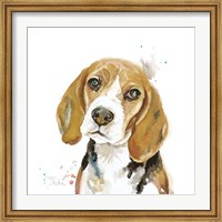 Watercolor Beagle Fine Art Print