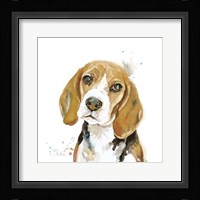 Watercolor Beagle Fine Art Print