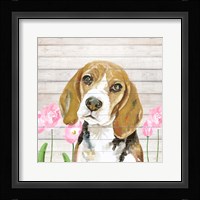 Beagle With Flowers Fine Art Print