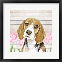 Beagle With Flowers Fine Art Print