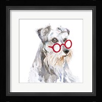 Schnauzer With Glasses Fine Art Print