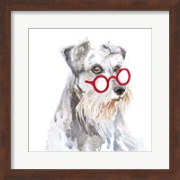 Schnauzer With Glasses Fine Art Print