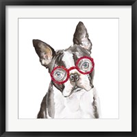 French Bulldog with Glasses Fine Art Print